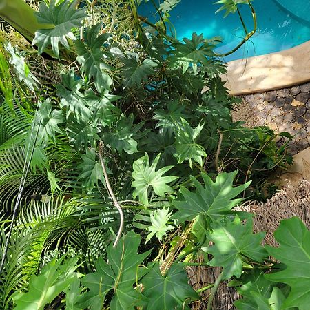 Appartamento The Secret Garden Tulum Esterno foto