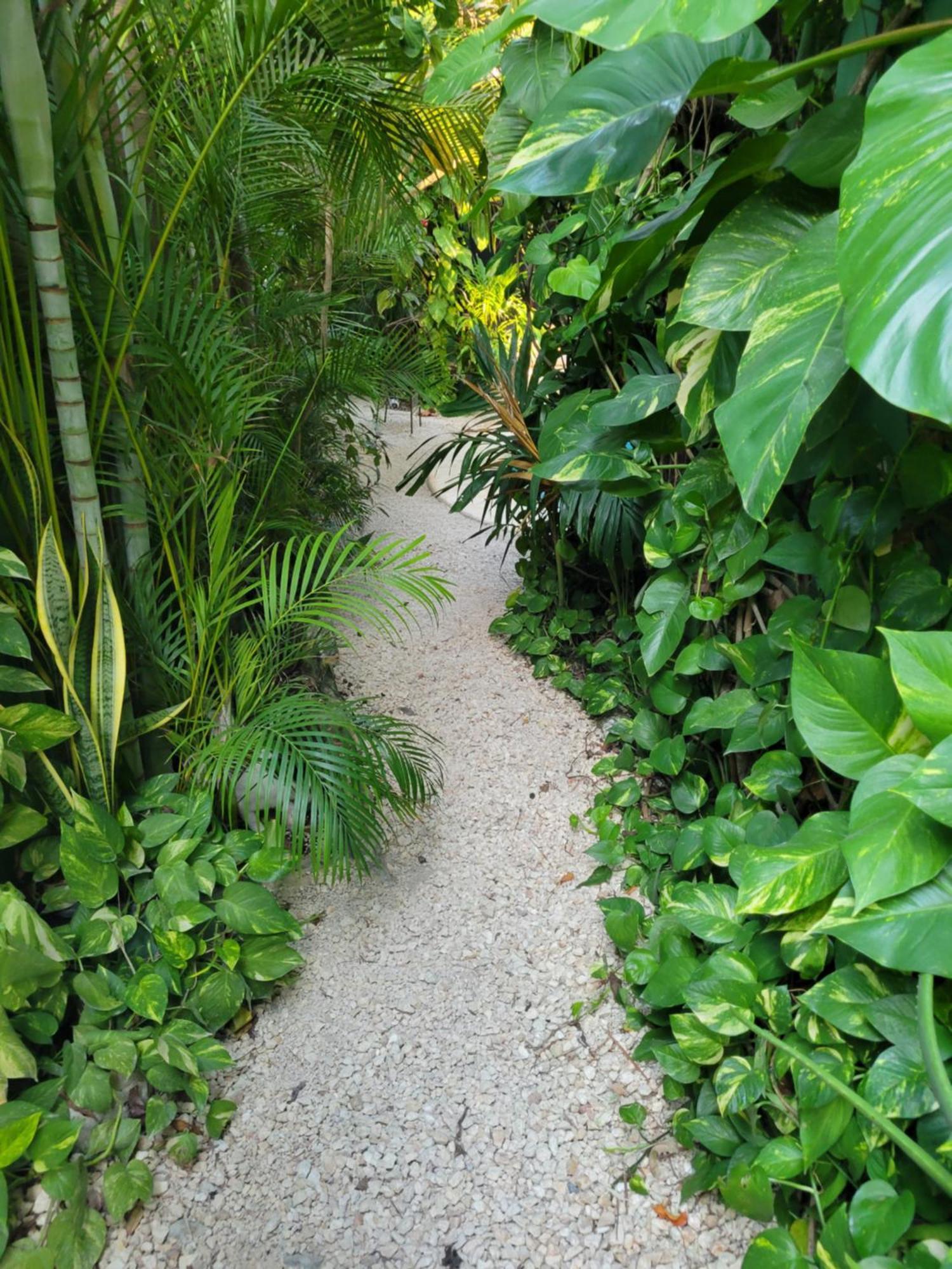 Appartamento The Secret Garden Tulum Esterno foto