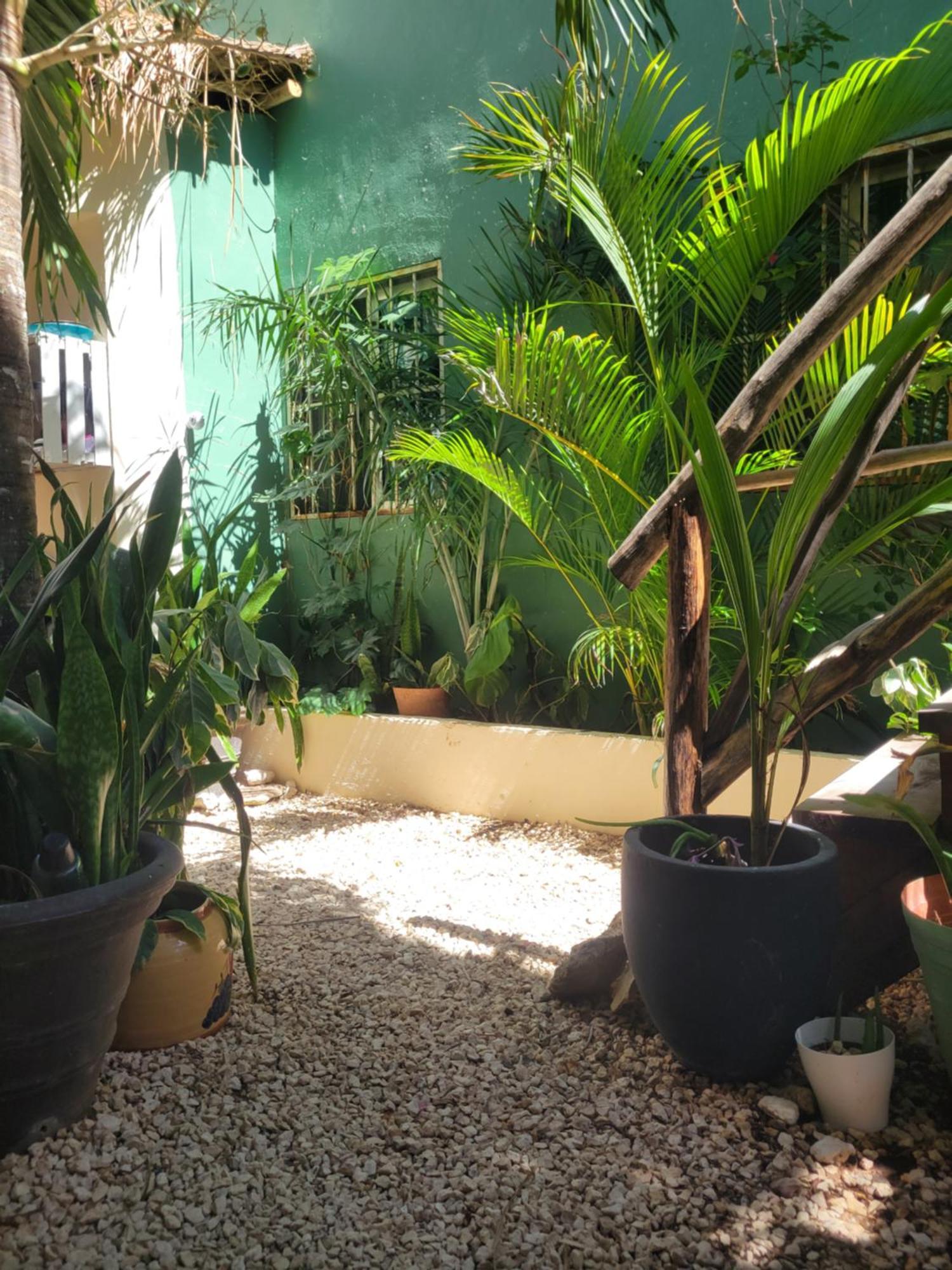 Appartamento The Secret Garden Tulum Esterno foto
