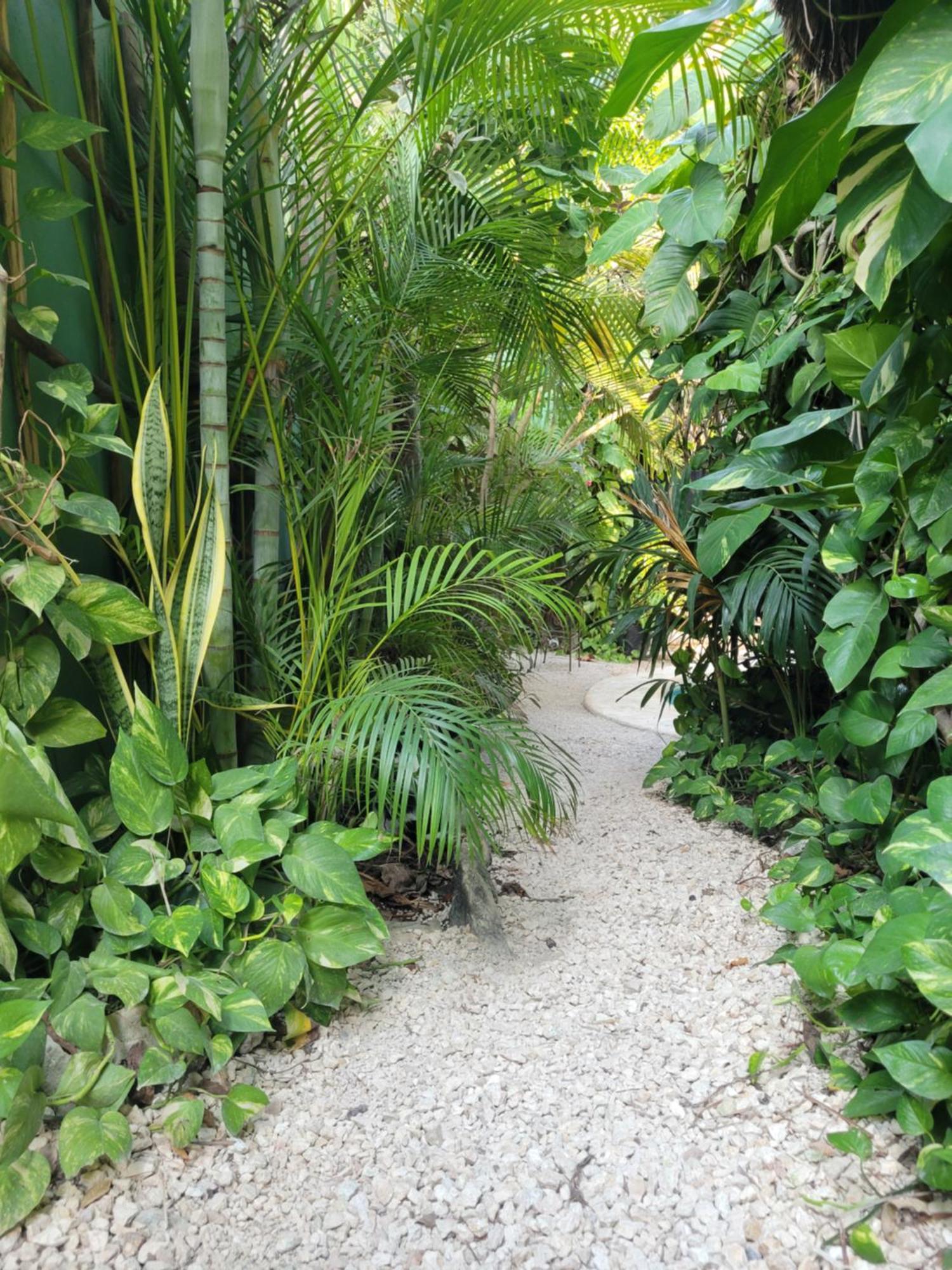 Appartamento The Secret Garden Tulum Esterno foto